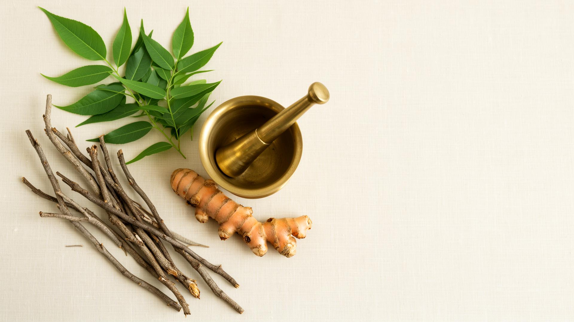 Traditional Ayurvedic herbs and brass mortar
